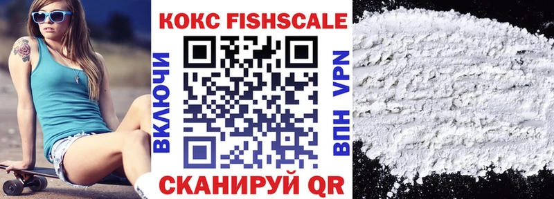 КОКАИН FishScale  Купить  Камышлов 