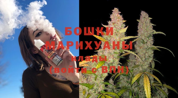 mix Снежногорск