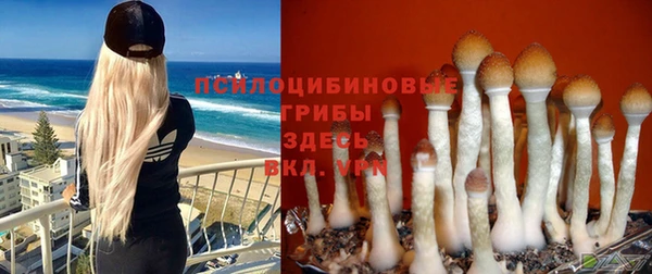 mdma Снежинск